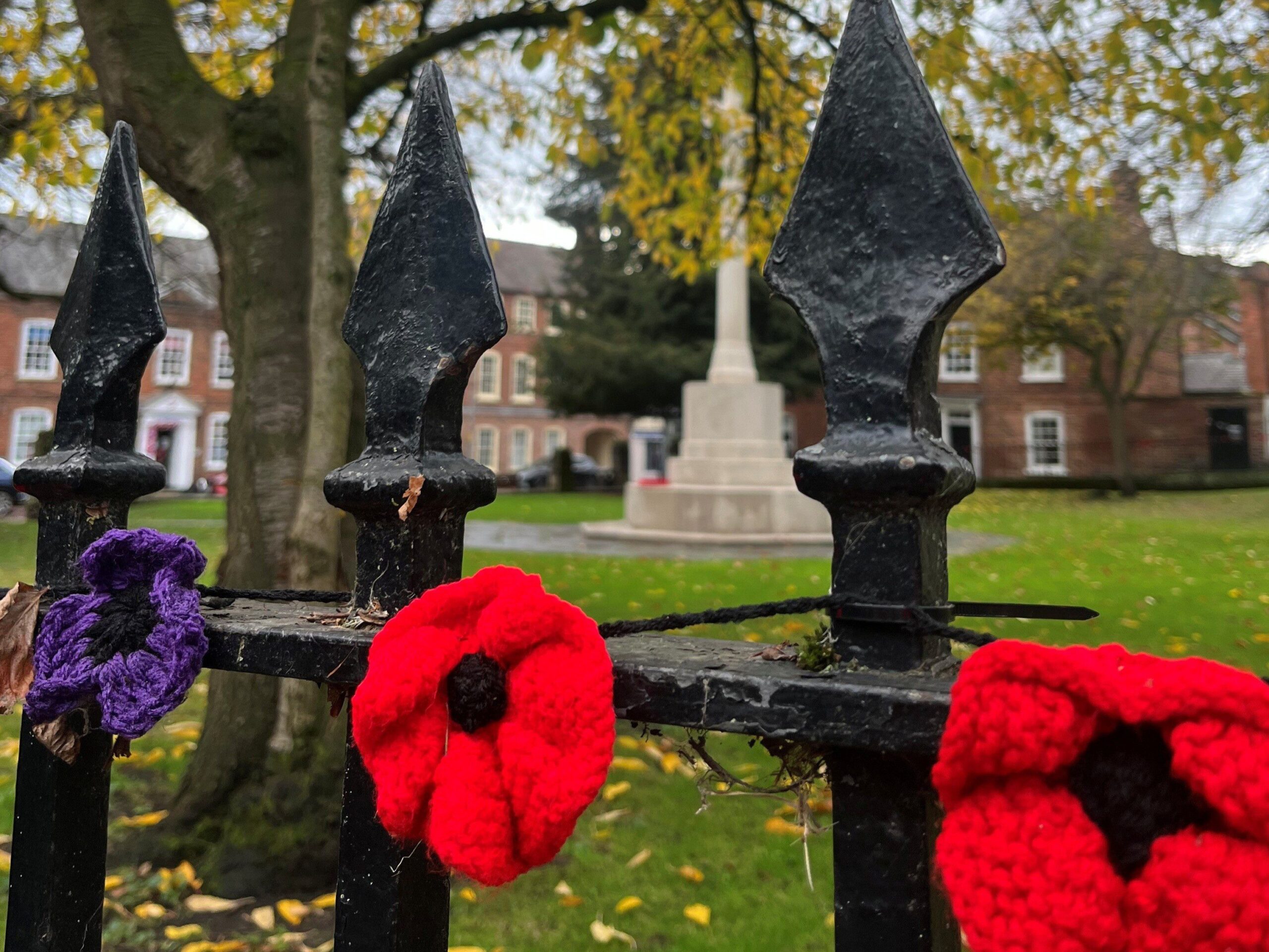 Poppy-Day-1-scaled-1